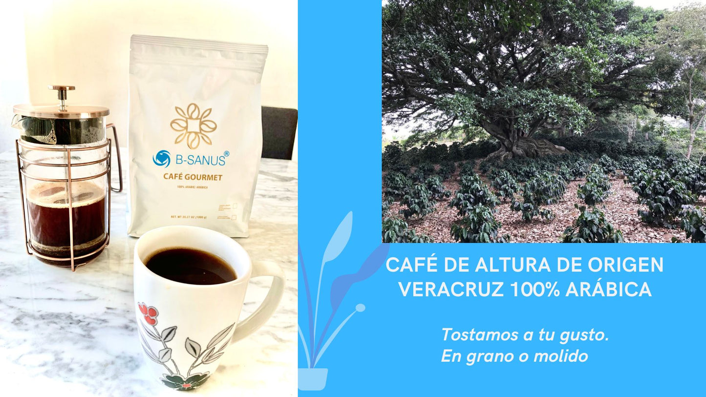 CAFÉ GOURMET B-SANUS - Origen Veracruz 100% Arábica (1kg)